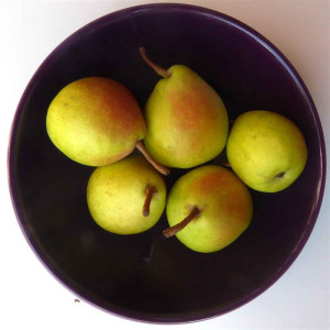 POIRIER Saint Jean (vert)