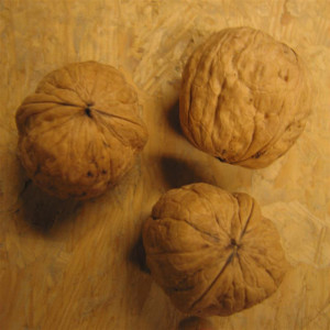 NOYER Lara