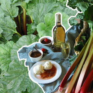 RHUBARBE Frambozenrood