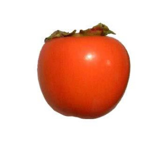 KAKI Tomatero